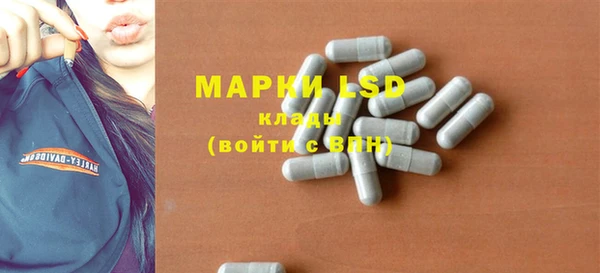 ECSTASY Горняк