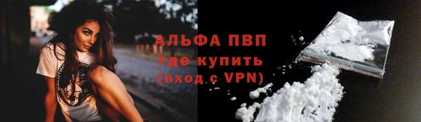 ECSTASY Горняк
