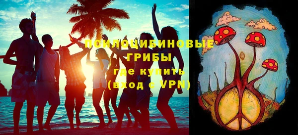 ECSTASY Горняк