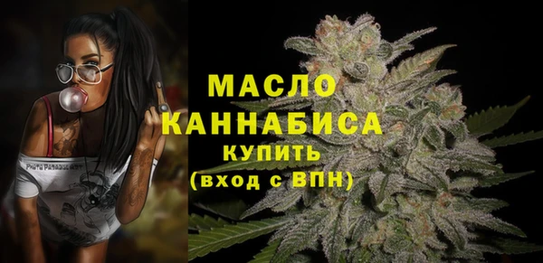 ECSTASY Горняк