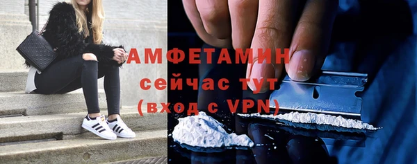 ECSTASY Горняк