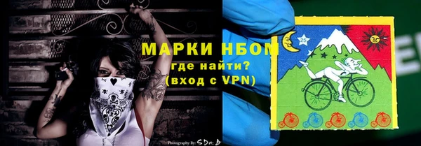ECSTASY Горняк