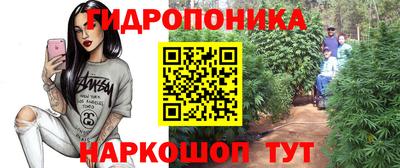скорость Заволжье