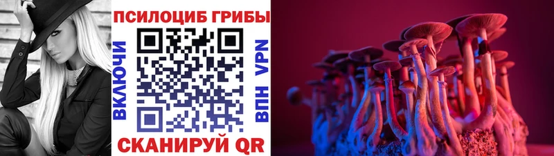 дарнет шоп  Ивантеевка  Псилоцибиновые грибы Magic Shrooms 