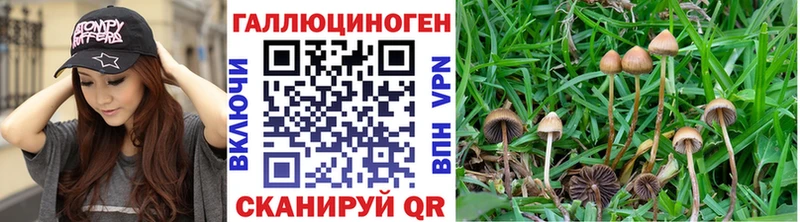Псилоцибиновые грибы GOLDEN TEACHER Ивантеевка