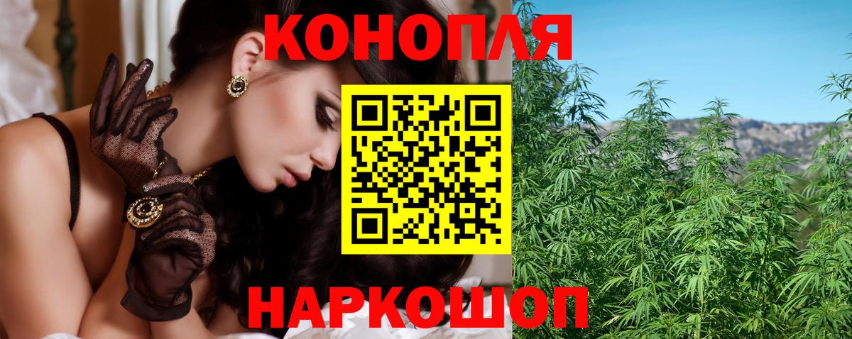Шишки марихуана OG Kush Ивантеевка